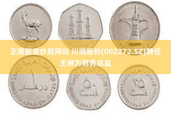 正规配资炒股网站 川润股份(002272.SZ)聘任王琳为财务总监