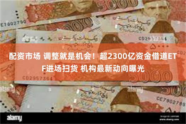 配资市场 调整就是机会！超2300亿资金借道ETF进场扫货 机构最新动向曝光