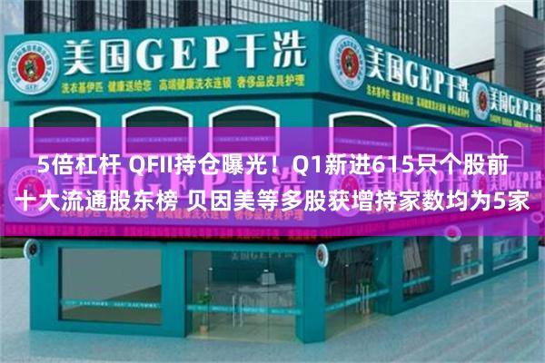 5倍杠杆 QFII持仓曝光！Q1新进615只个股前十大流通股东榜 贝因美等多股获增持家数均为5家