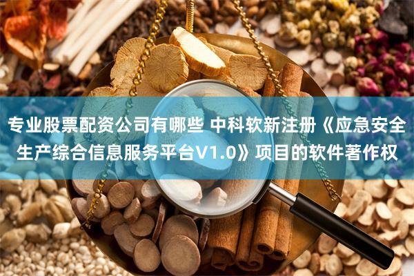 专业股票配资公司有哪些 中科软新注册《应急安全生产综合信息服务平台V1.0》项目的软件著作权