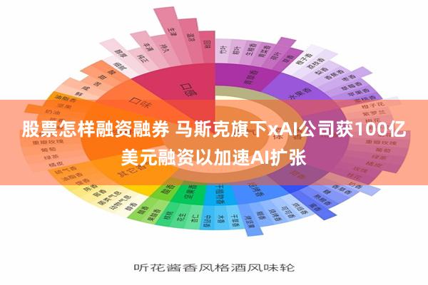 股票怎样融资融券 马斯克旗下xAI公司获100亿美元融资以加速AI扩张
