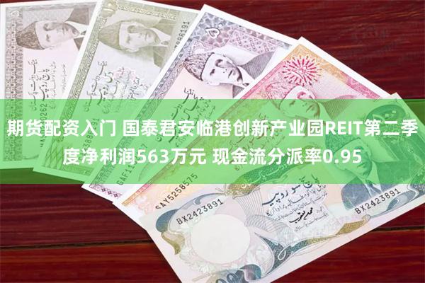 期货配资入门 国泰君安临港创新产业园REIT第二季度净利润563万元 现金流分派率0.95